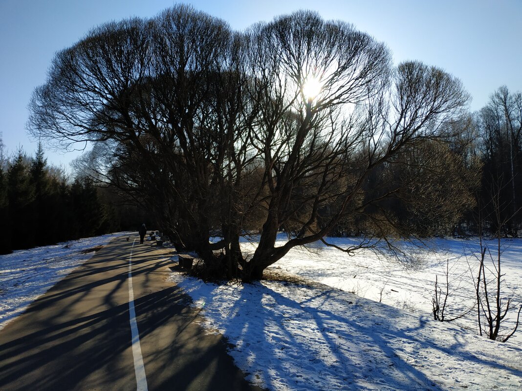 Провожая несостоявшуюся зиму - Андрей Лукьянов Провожая несостоявшуюся зиму - Андрей Лукьянов