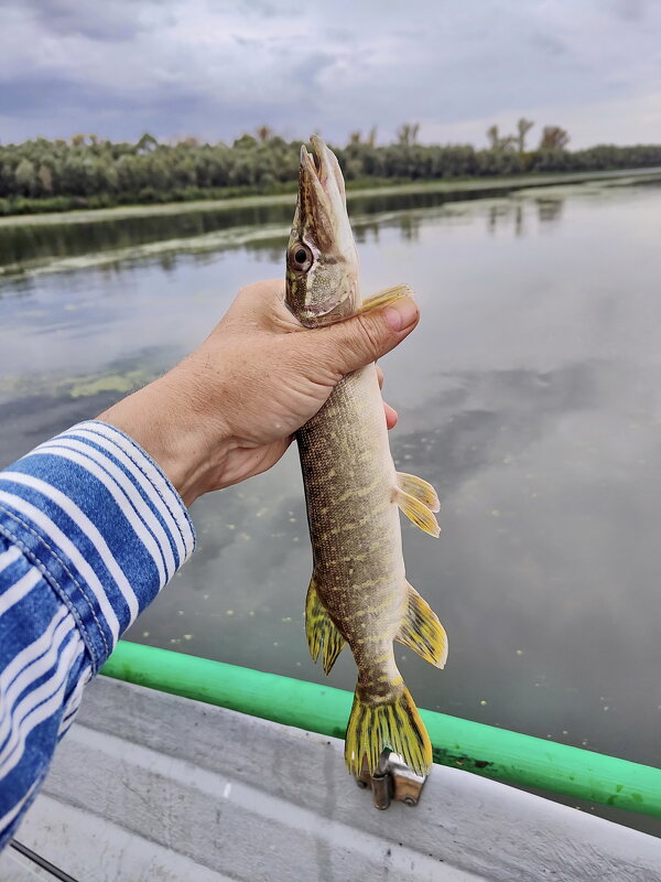 Отпустить? - Валерий Судачок Отпустить? - Валерий Судачок