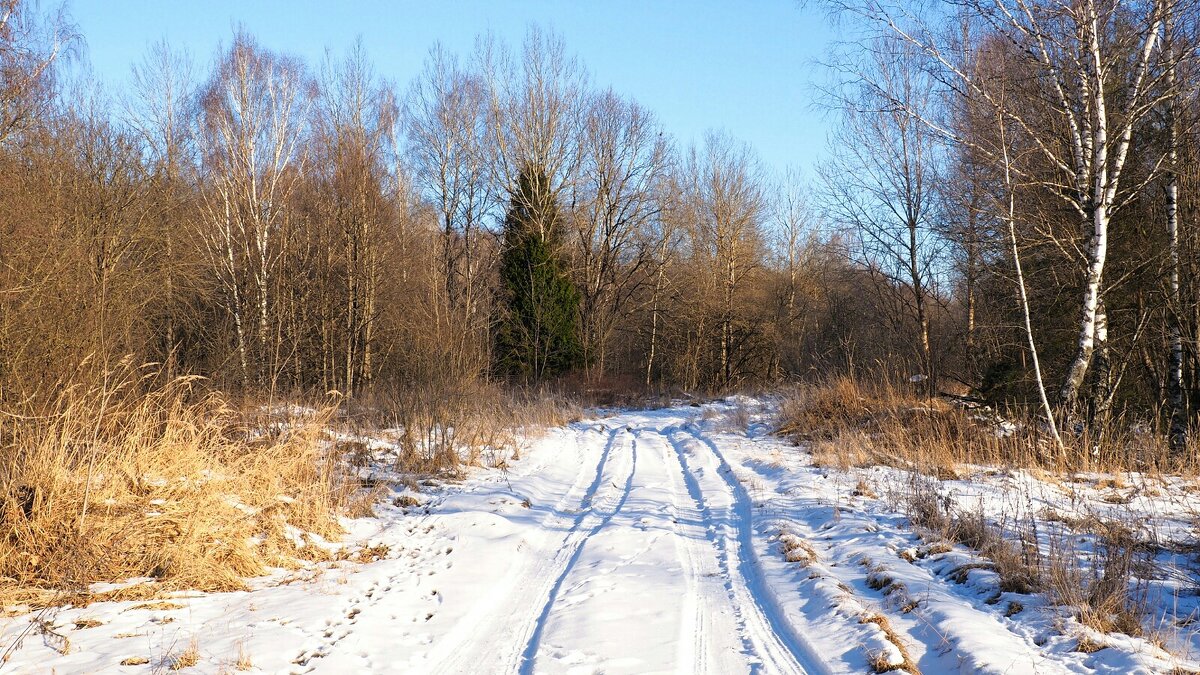 Дорога охотников и рыбаков. - Милешкин Владимир Алексеевич Дорога охотников и рыбаков. - Милешкин Владимир Алексеевич