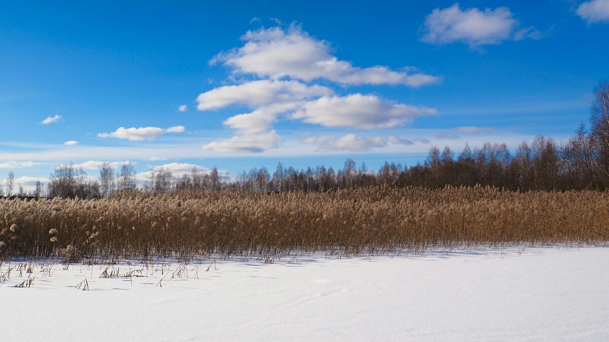 Про облака в феврале. - Милешкин Владимир Алексеевич Про облака в феврале. - Милешкин Владимир Алексеевич