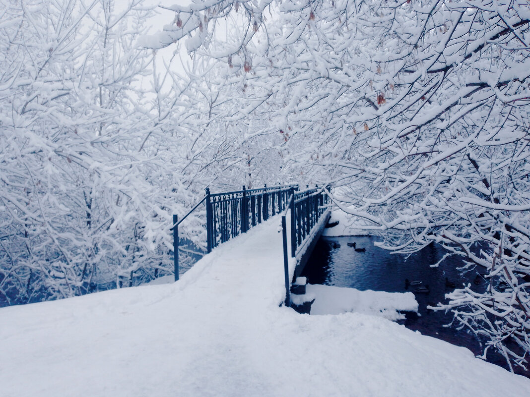Мостик через ручей - Сергей Кочнев