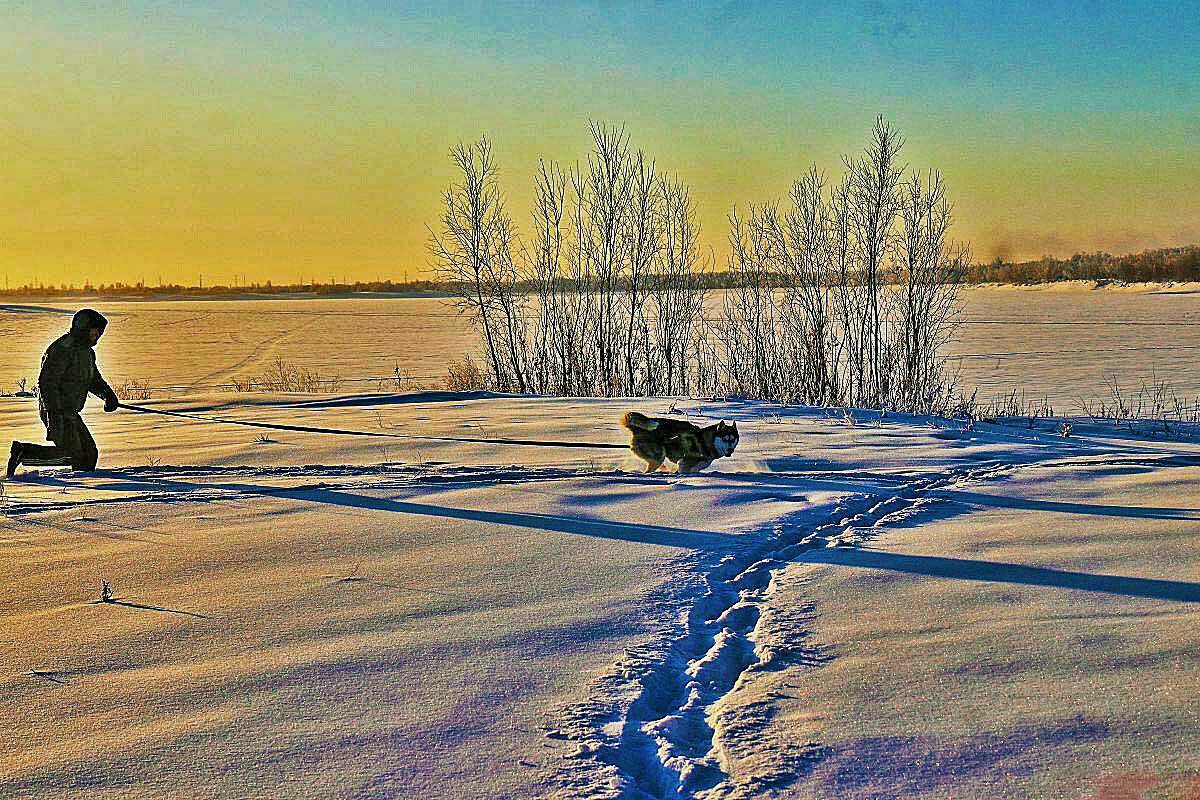 Январь..,Пес рвется вперед по глубокому снегу! - Владимир 