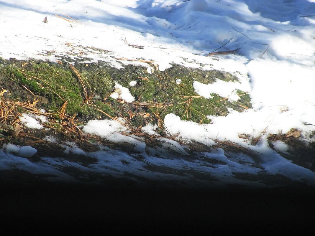 Словно крокодил - Людмила Смородинская Словно крокодил - Людмила Смородинская