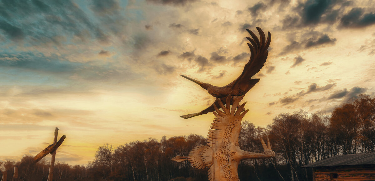 Птицы. - Владимир Владимир Птицы. - Владимир Владимир