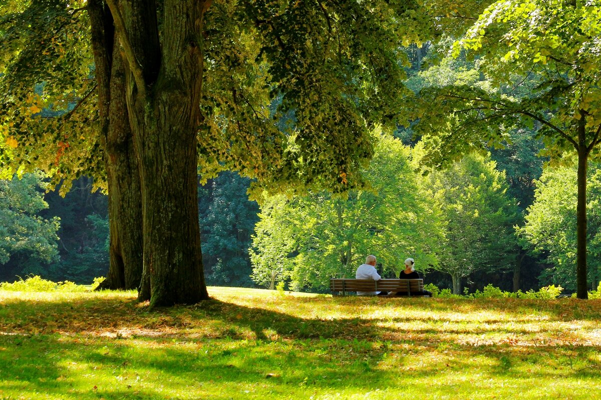 Осенние свидания - Юрий. Шмаков