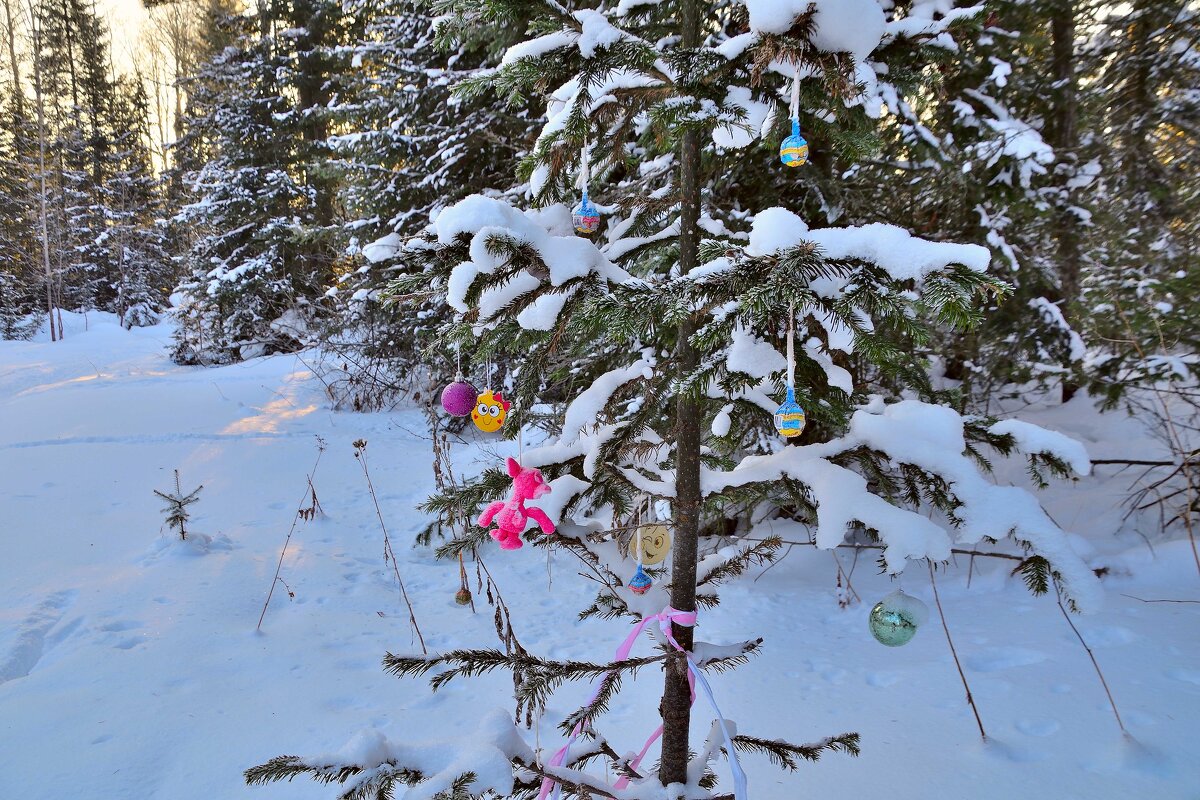 - - Владимир Мигонькин