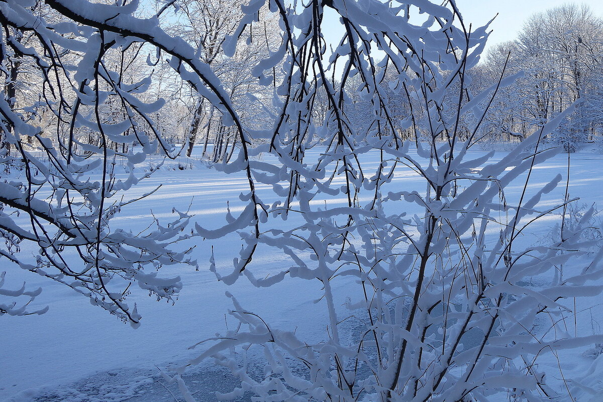 Февраль - Рита Симонова