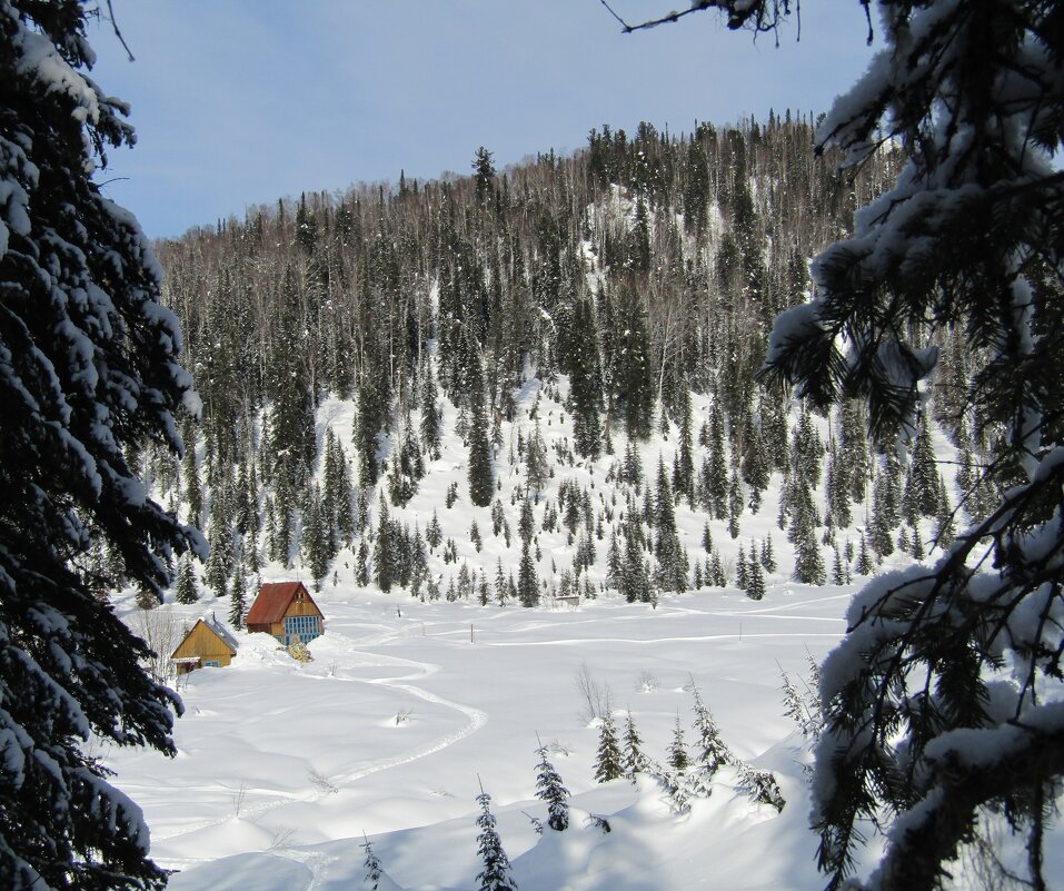 Приют Глухариный - Galaelina ***