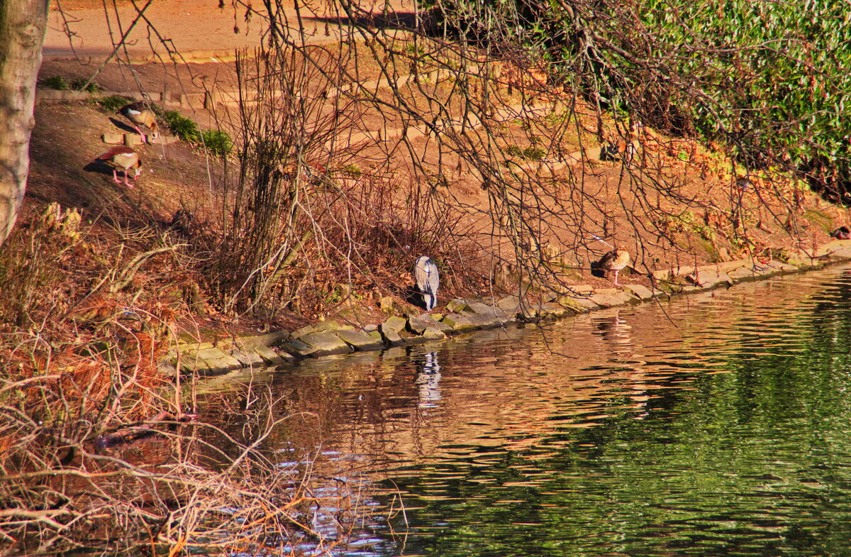 *** - Witalij Loewin