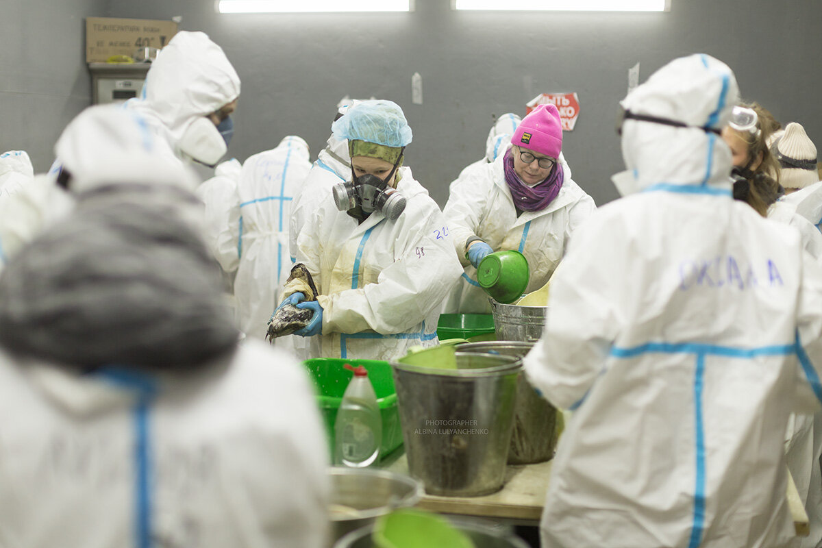 мойка - Albina Lukyanchenko