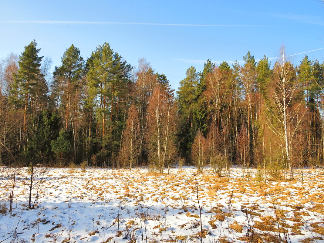 Уходящая зима - Андрей Снегерёв