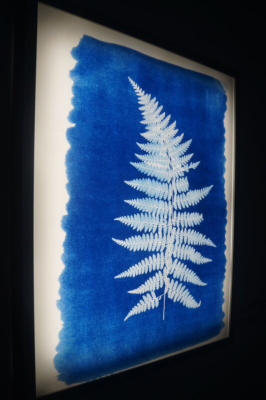 выставка "Внутри старинного фотоаппарата" - zavitok *