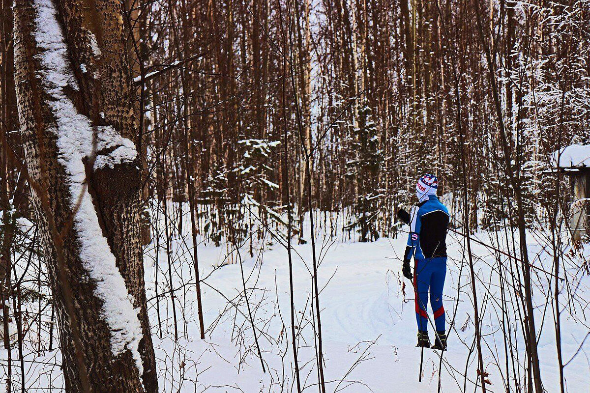 Январь...Одиночество в тайге! - Владимир Январь...Одиночество в тайге! - Владимир