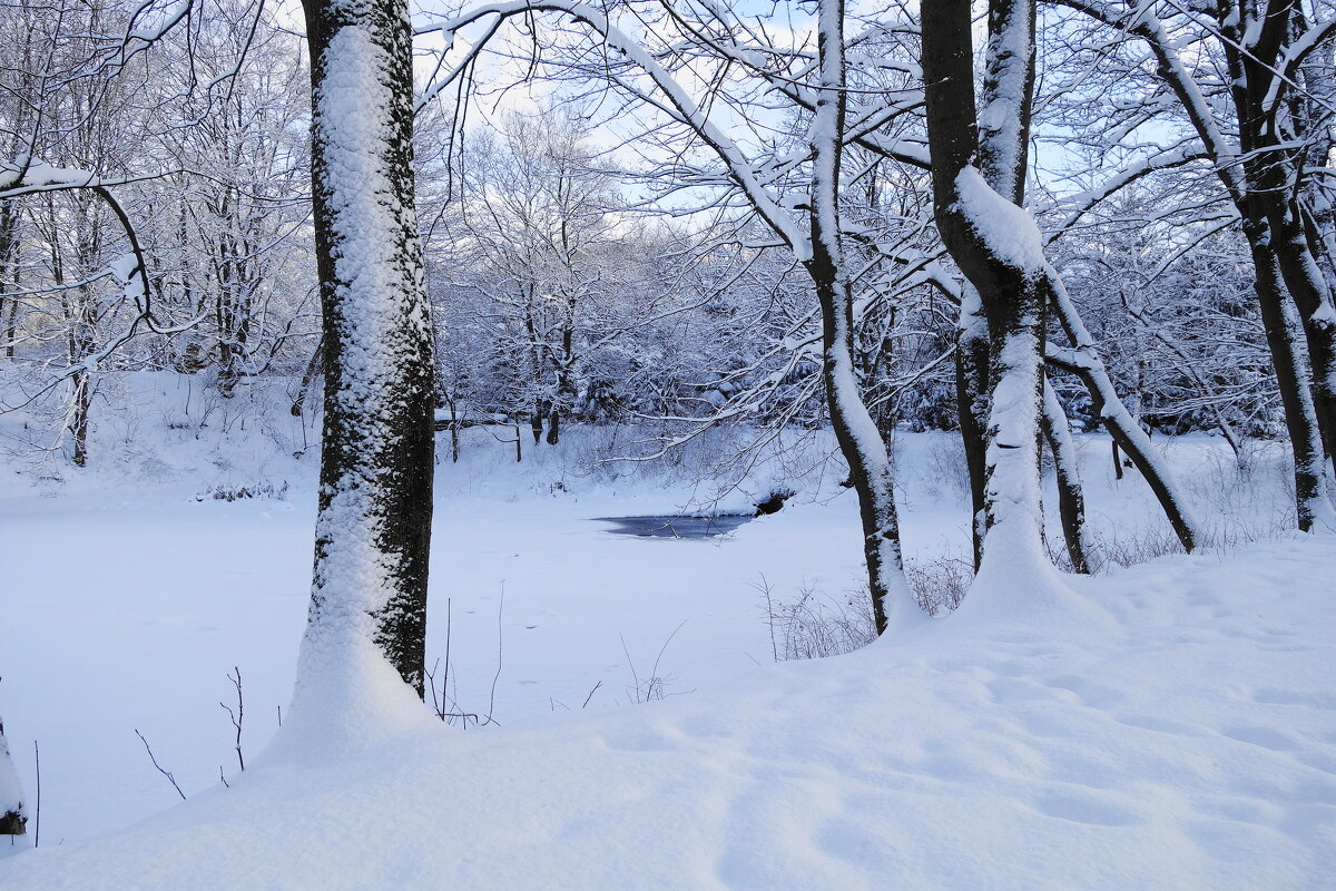 Февраль - Рита Симонова