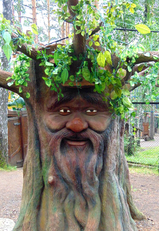 У деревьев есть лицо. - nadyasilyuk Вознюк