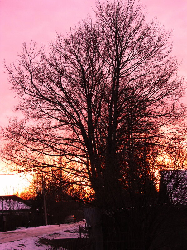 Февральское утро - Людмила Смородинская Февральское утро - Людмила Смородинская