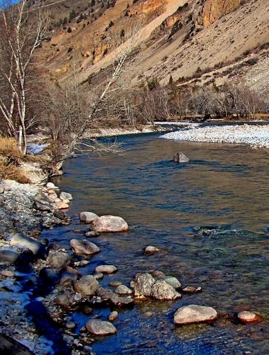 ЗИМНЯЯ ПРОГУЛКА. - Виктор Осипчук ЗИМНЯЯ ПРОГУЛКА. - Виктор Осипчук