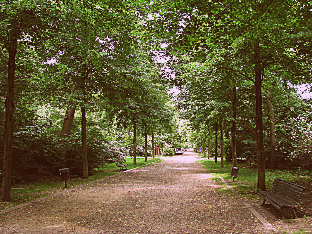 Берлин. - Владимир Драгунский