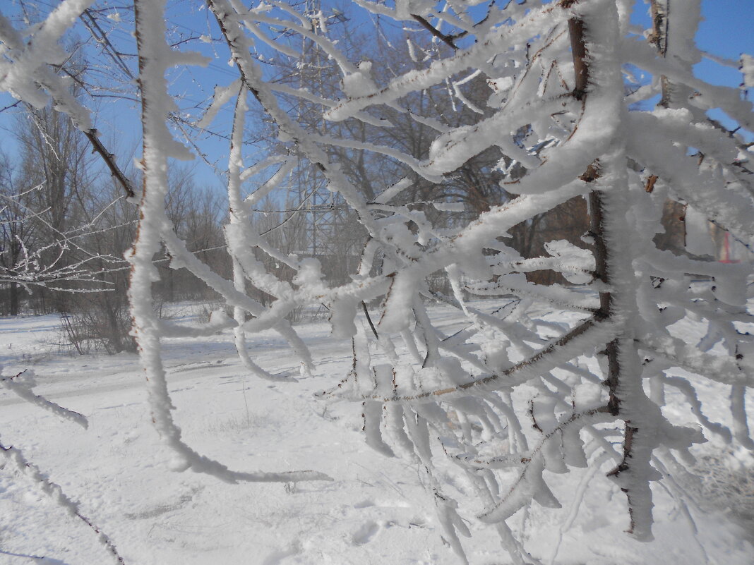 февраль - Елена Шаламова