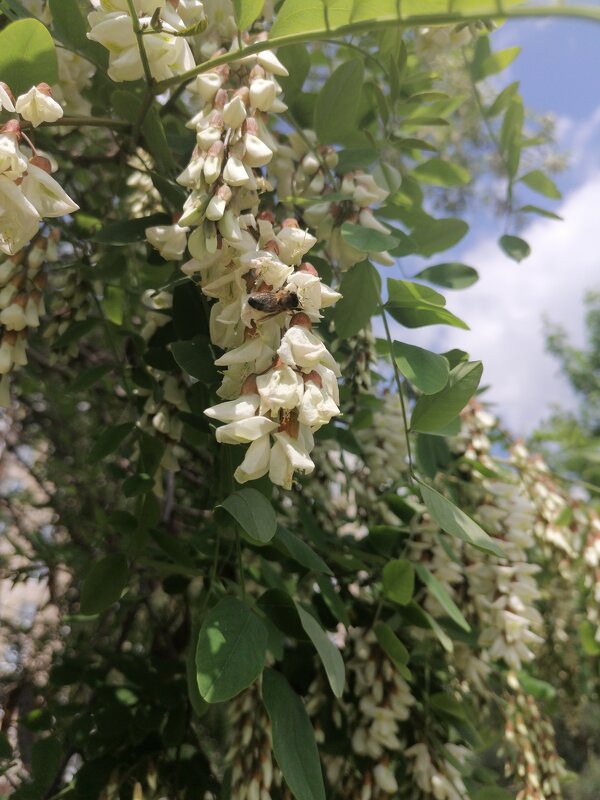 ,,, - Сергей Тимоновский