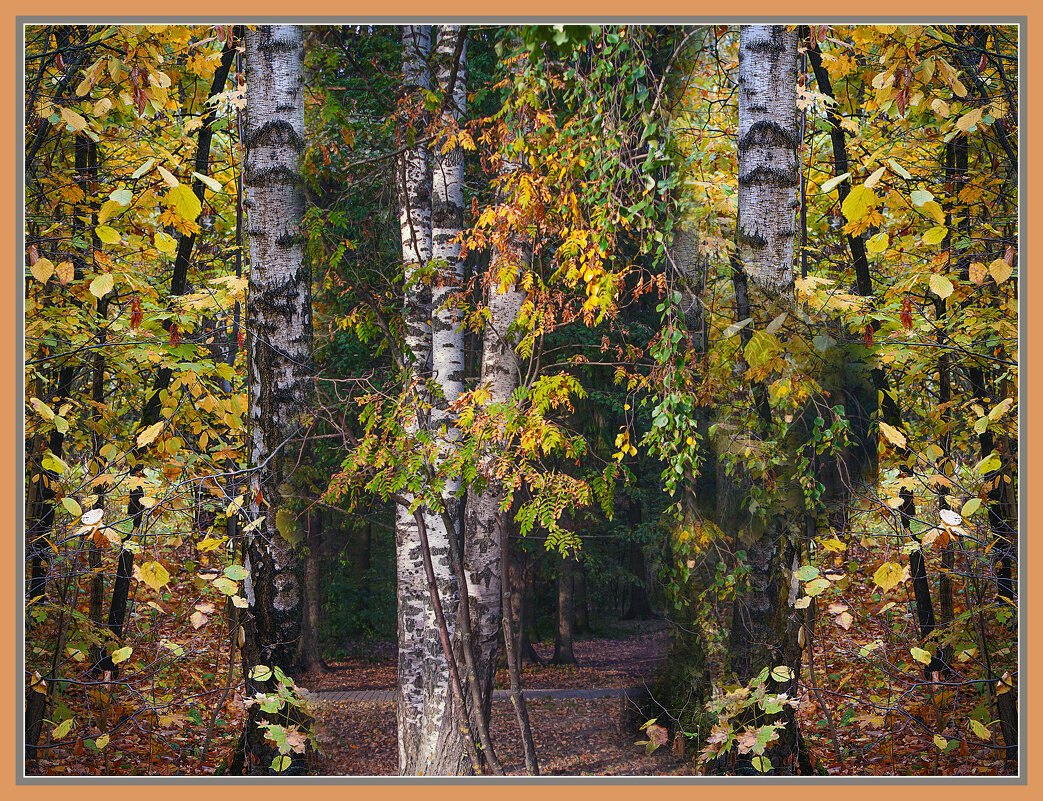 Осень в лесопарке - Владимир Кроливец Осень в лесопарке - Владимир Кроливец