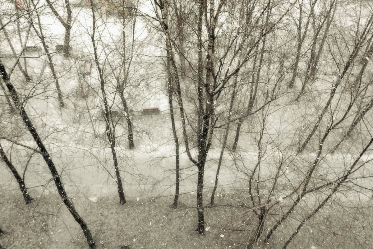 Грустная картина января. - Татьяна Помогалова Грустная картина января. - Татьяна Помогалова