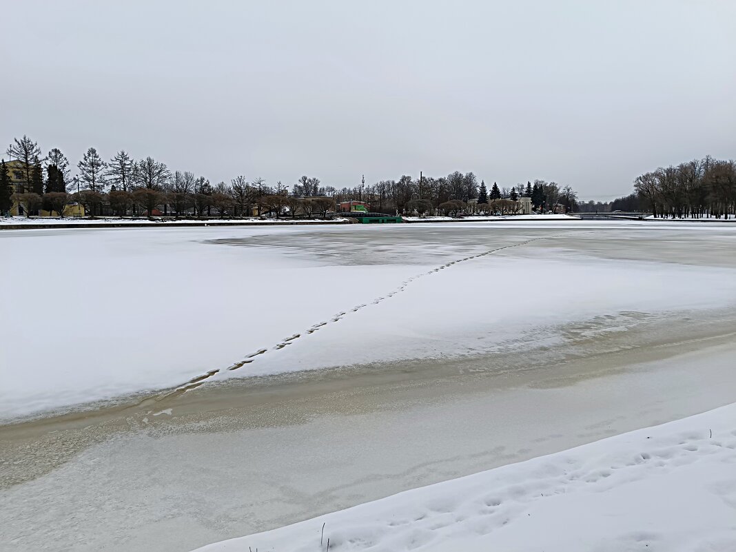 Уходящий февраль... - Мария Васильева Уходящий февраль... - Мария Васильева