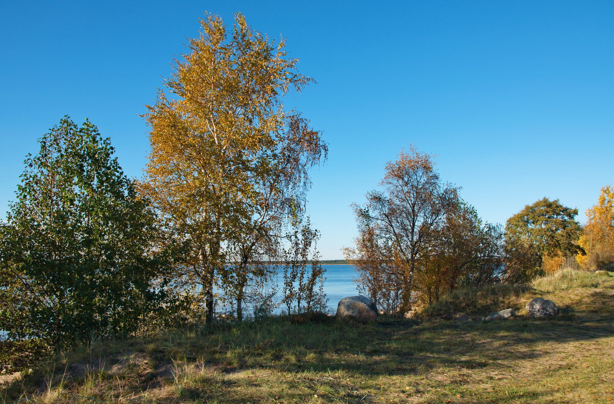 Осенний день - lady v.ekaterina