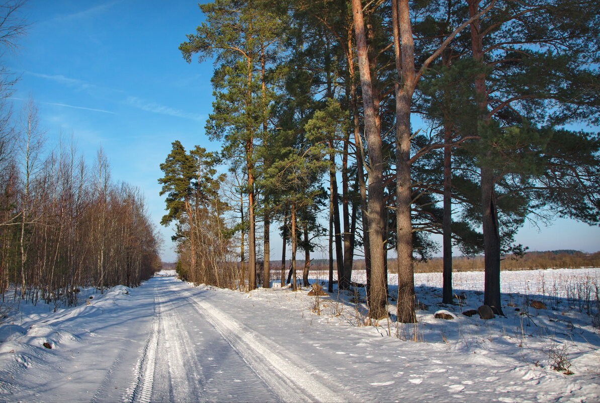 Зимняя прогулка - lady v.ekaterina Зимняя прогулка - lady v.ekaterina
