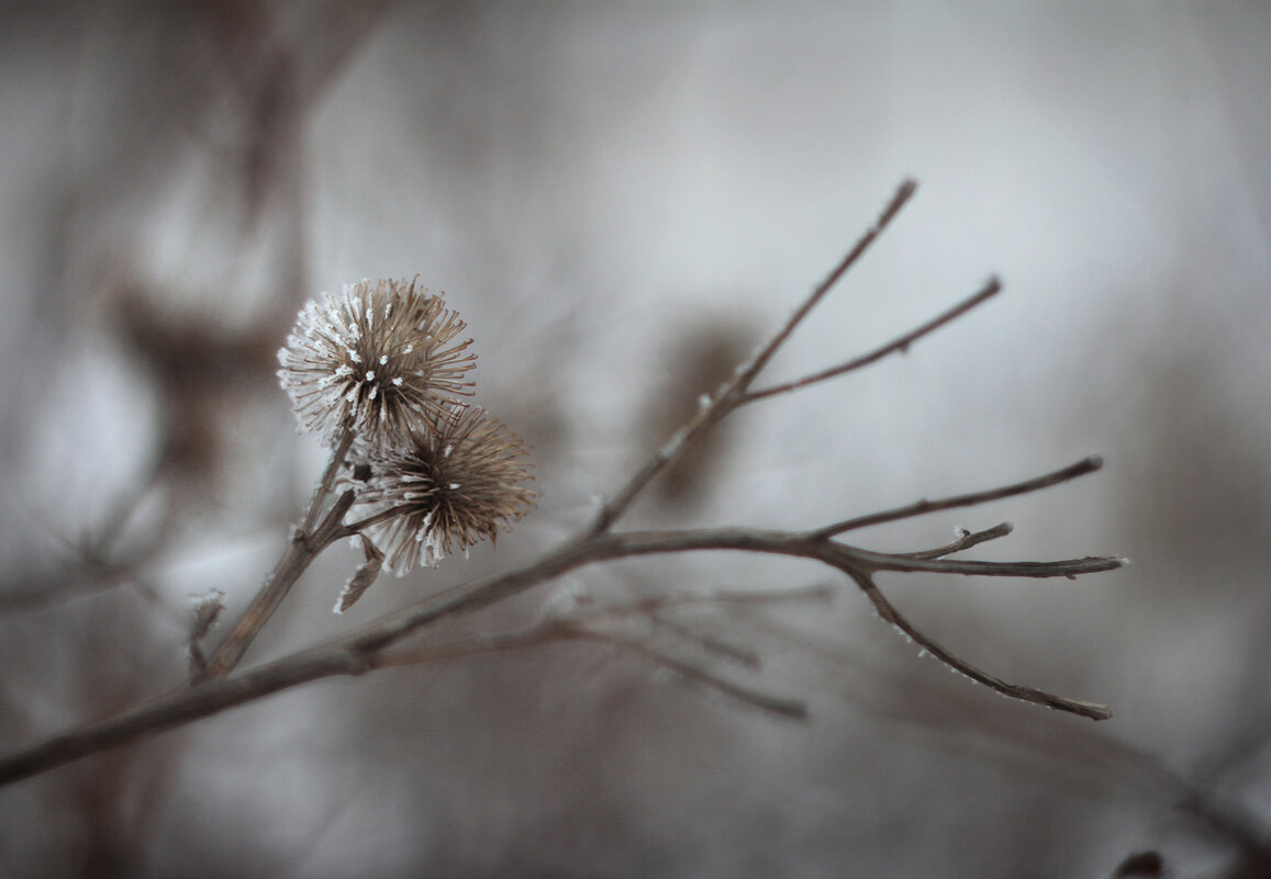 *** - Лера *** - Лера