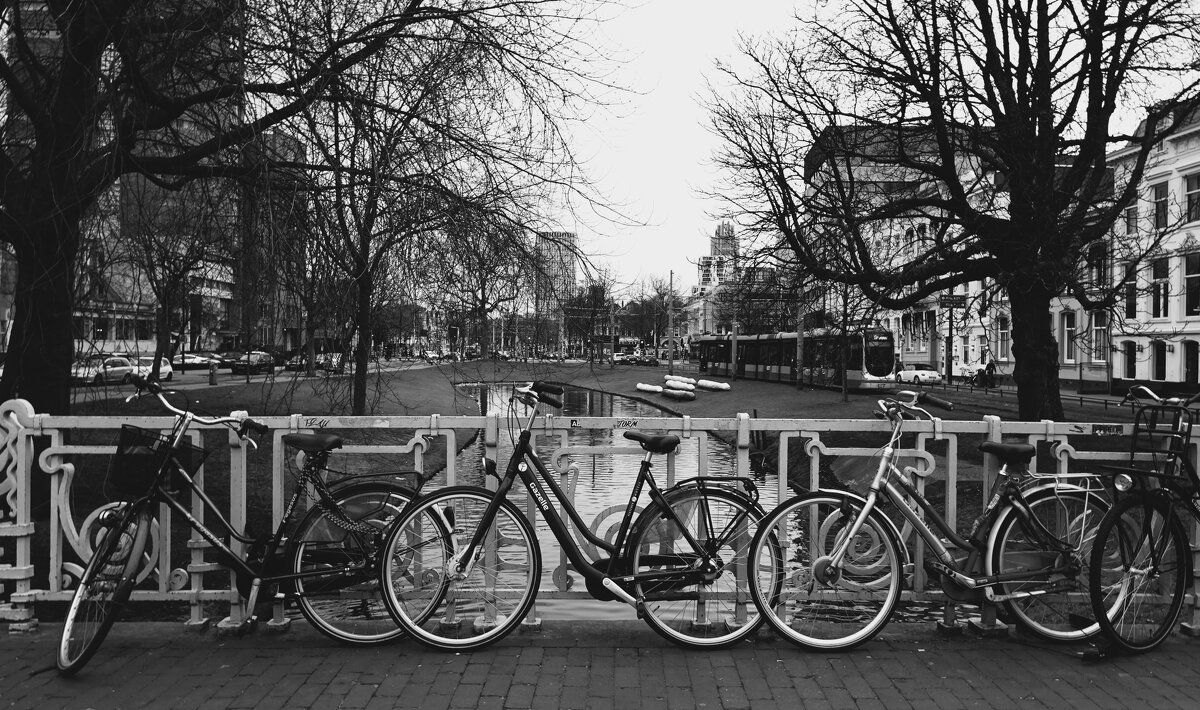 В Роттердаме... - Elena Ророva