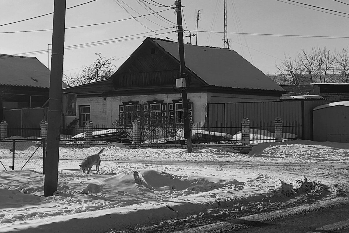 Деревня, в городе. - Игорь Солдаткин