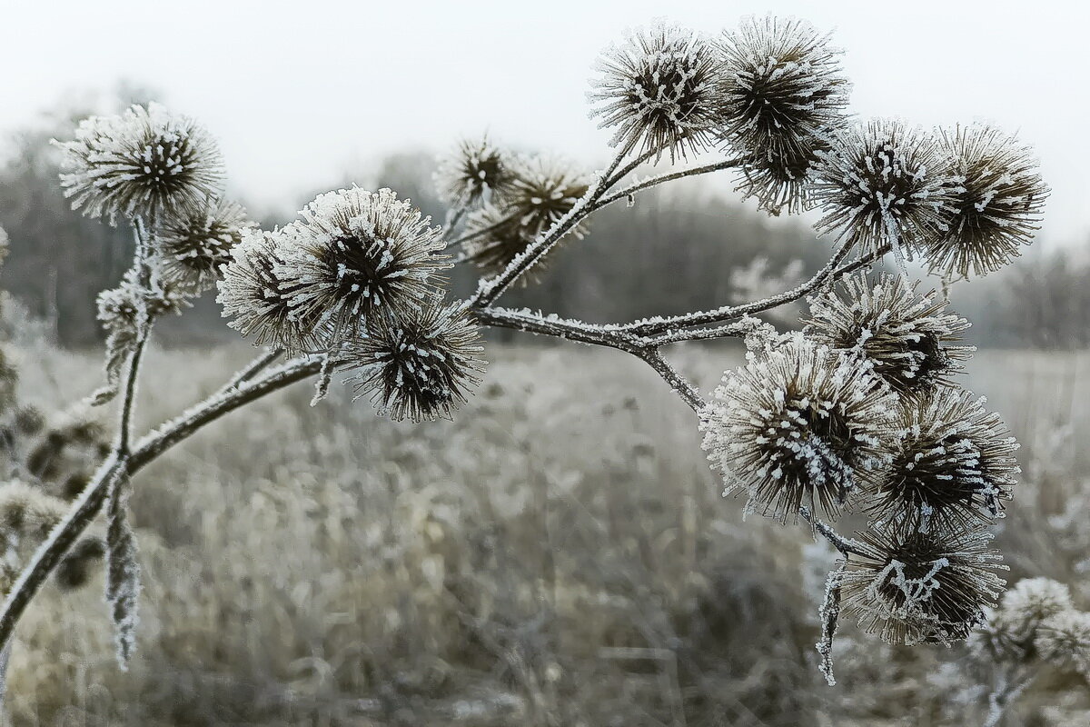Подморозило... - Владимир Шошин