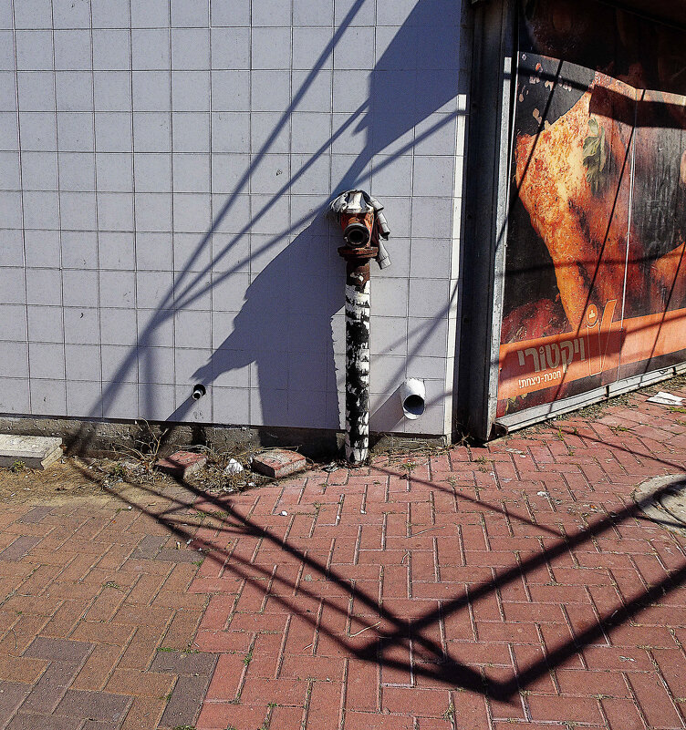 Limited Edition - Helmut Levitt