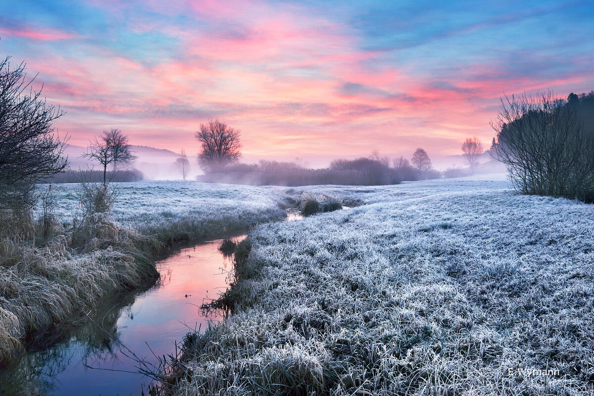 winter view - Elena Wymann winter view - Elena Wymann