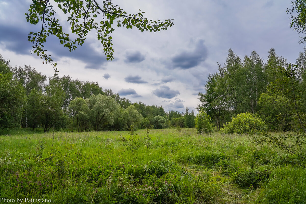 Хмурый июнь... - Владимир Жданов Хмурый июнь... - Владимир Жданов