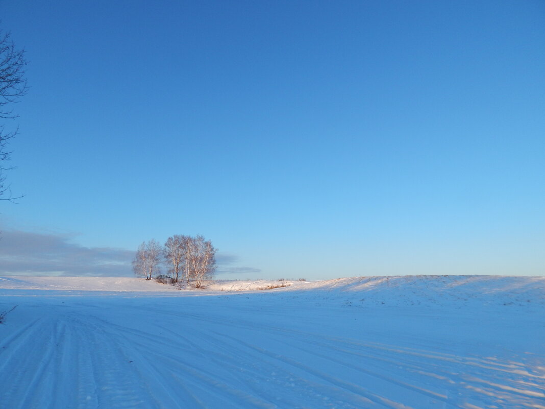 Зимний день - Сергей Швечков