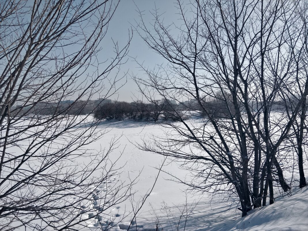 Остров. - Андрей Хлопонин Остров. - Андрей Хлопонин