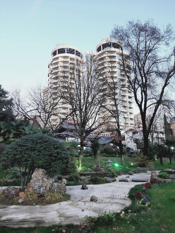 Японский сквер - Tata Wolf