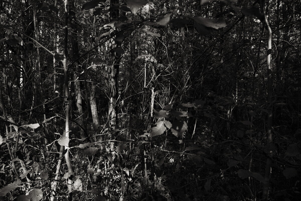 Название отсутствует - Денис Безногов