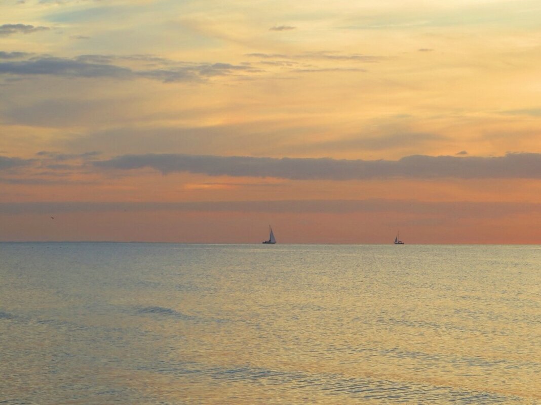 море - марта Камушкина