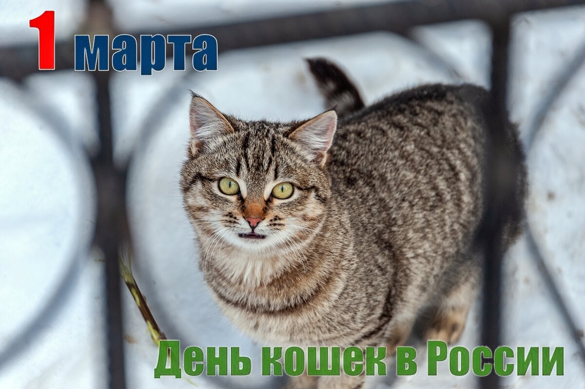 С праздником! - Валерий Иванович С праздником! - Валерий Иванович