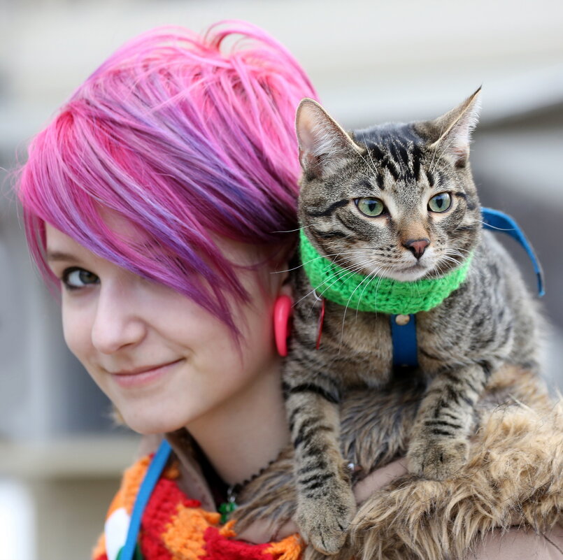 1 марта - День Кошек - Михаил Бибичков