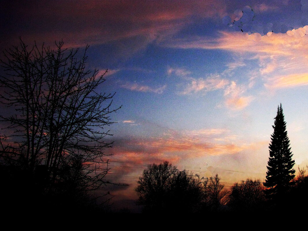 Последний вечер февраля - Людмила Смородинская Последний вечер февраля - Людмила Смородинская