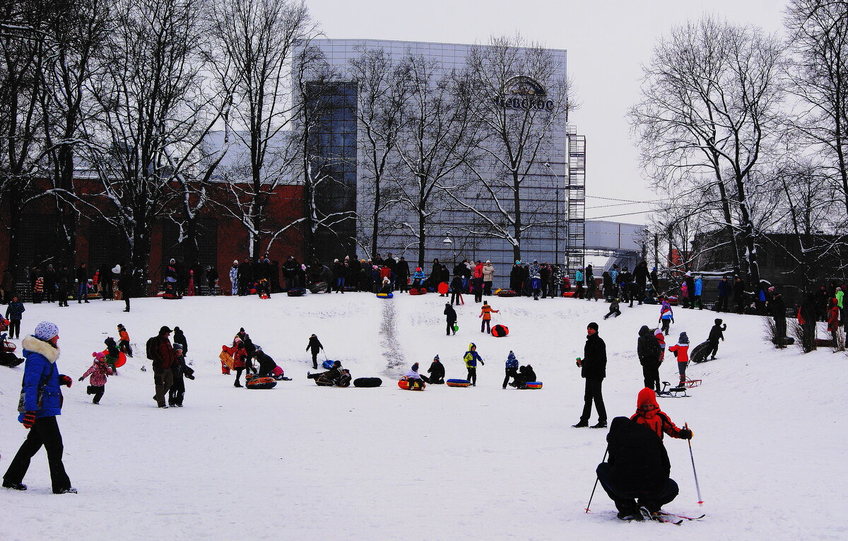 ВЕСЕЛУХА - Виктор Никитенко
