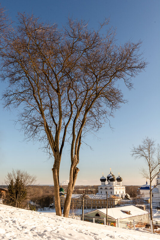 Ждем грачей! - Дмитрий Печенкин Ждем грачей! - Дмитрий Печенкин