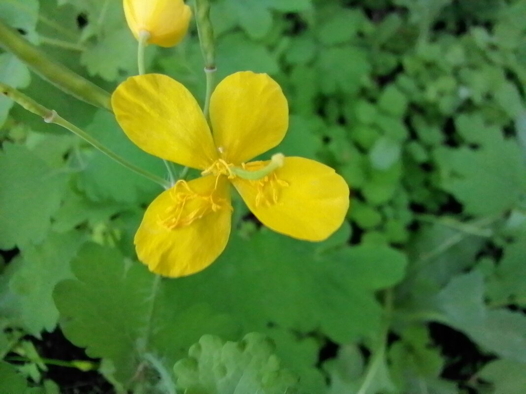 ,,, - Сергей Тимоновский ,,, - Сергей Тимоновский