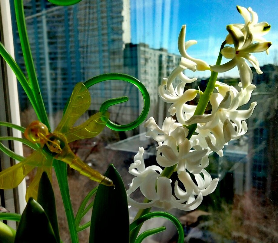 Дорогие друзья,с долгожданной весной Вас! У-Р-А!!! - марина ковшова Дорогие друзья,с долгожданной весной Вас! У-Р-А!!! - марина ковшова