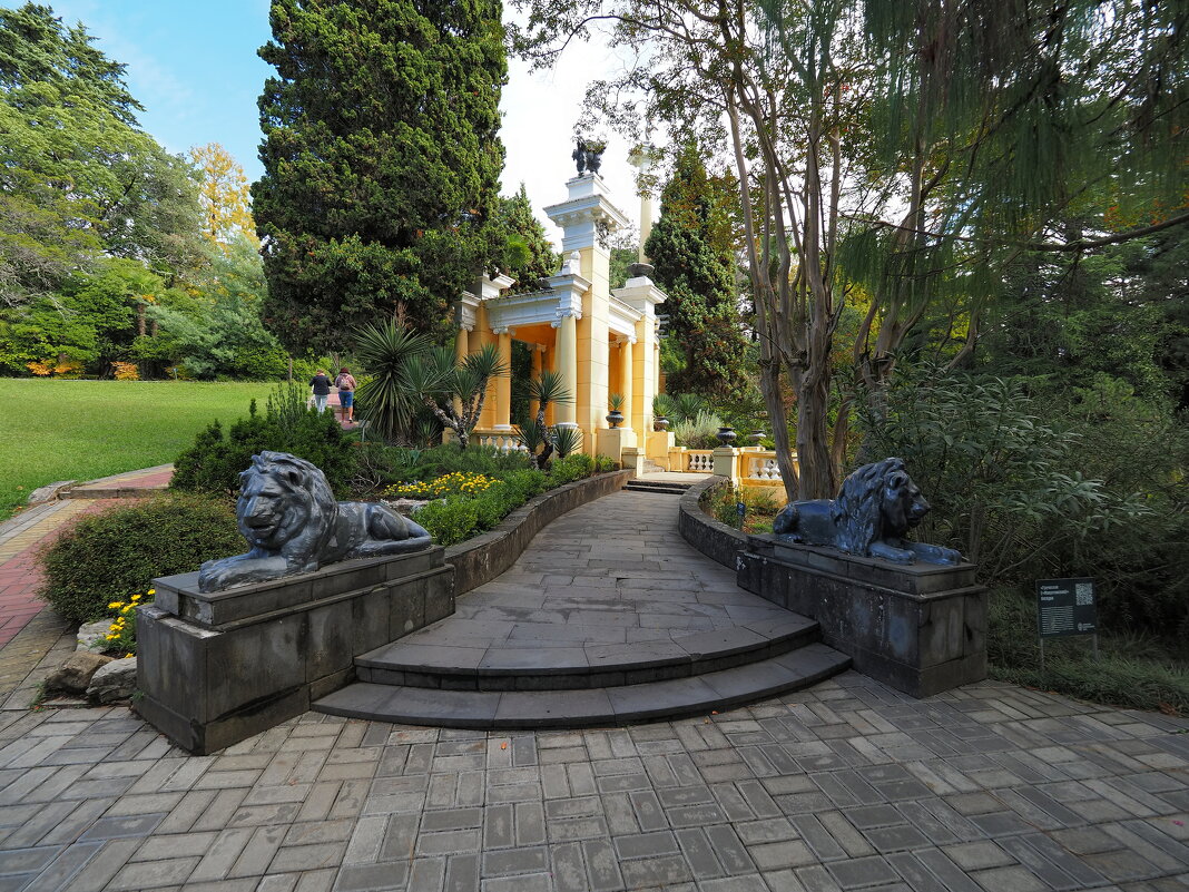 Сочинский дендрарий. - Евгений Седов