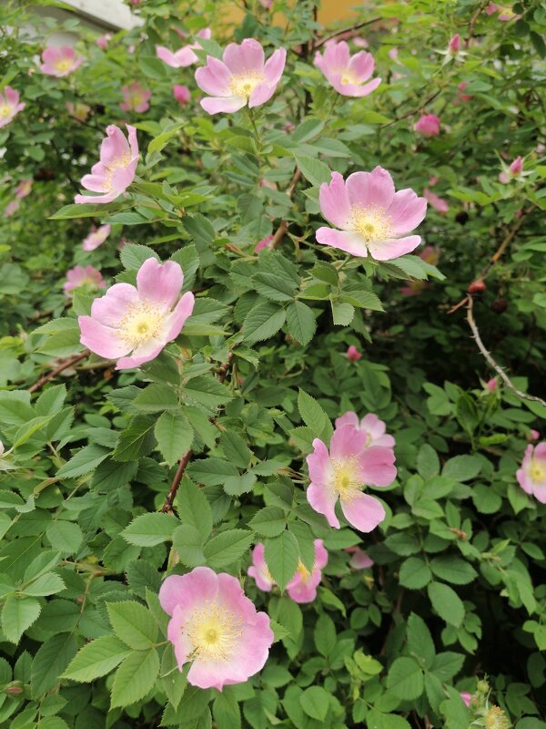 ,,, - Сергей Тимоновский ,,, - Сергей Тимоновский